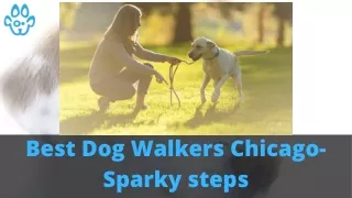 Best Dog Walkers Chicago- Sparky steps