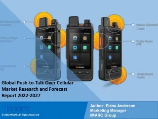 global push to talk over cellular market research