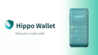 Which Cryptocurrencies Can You Store In Hippo Wallet?