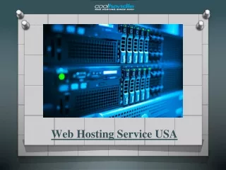Web Hosting Service USA