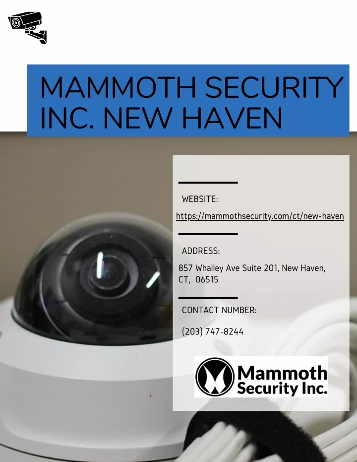 mammoth security inc new haven