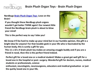 Heart Plush Organ Toys - Nerdbugs Heart Plushie Organ