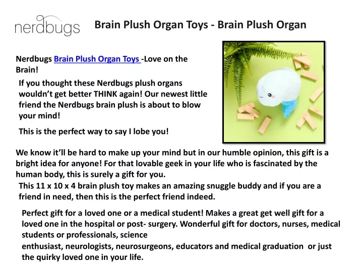 brain plush organ toys brain plush organ