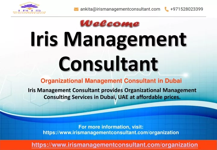 iris management consultant