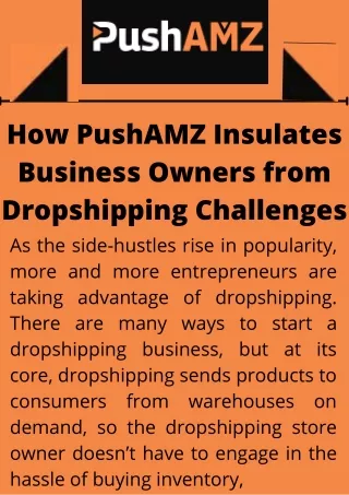 How PushAMZ Insulates Business Owners from Dropshipping Challenges