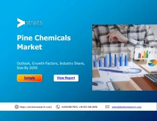 Pine Chemicals Market Share