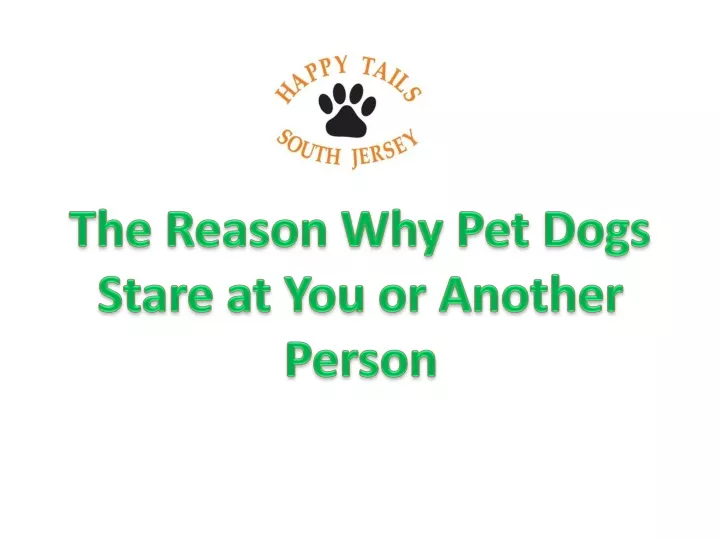 the reason why pet dogs stare at you or another