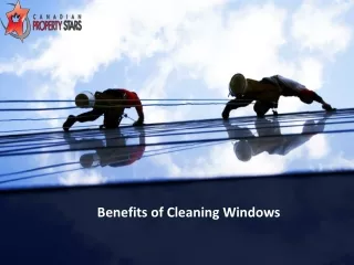 Benefits of Cleaning Windows