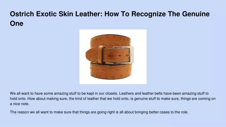 ostrich exotic skin leather how to recognize the genuine one