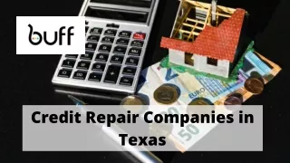 Credit Repair Companies in Texas