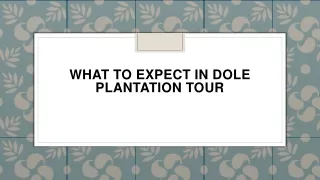 what to expect in dole plantation tour