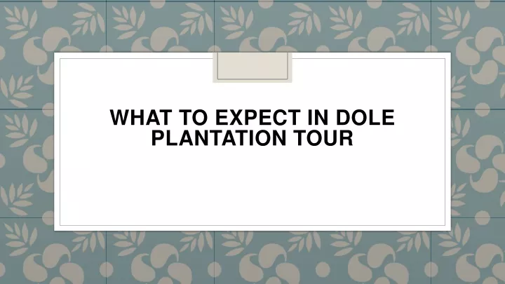 what to expect in dole plantation tour