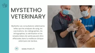 Soins Vétérinaires Jonction à Genève