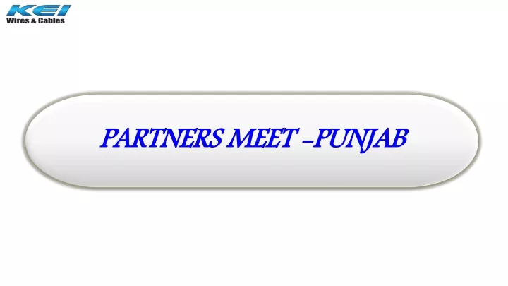 partners meet punjab