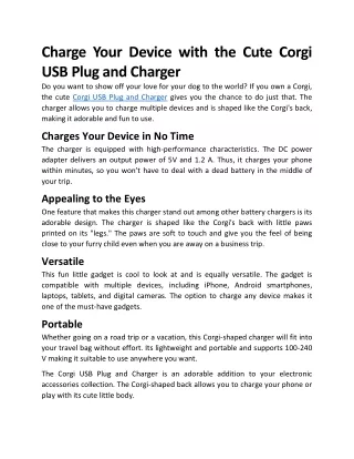 charge your device with the cute corgi usb plug