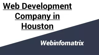Web Development Company in Houston (1)