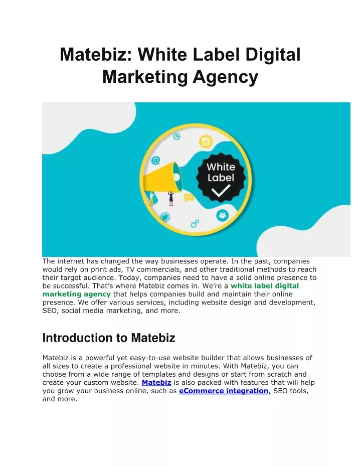 matebiz white label digital marketing agency