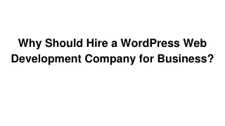 Why Should Hire a WordPress Web Development Company for Business