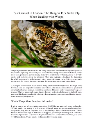 pest control in london the dangers diy self help