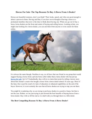 Horses For Sale- The Top Reasons To Buy A Horse From A Dealer
