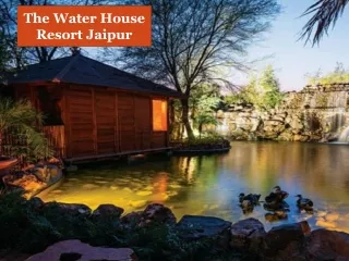 the water house resort jaipur