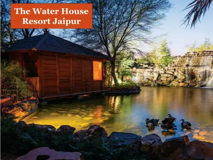 the water house resort jaipur