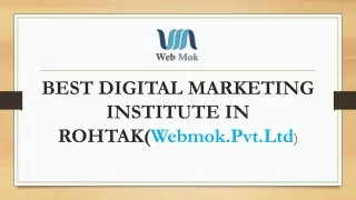Digital marketing institute in Rohtak PPT