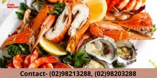 WHAT ARE THE DIFFERENT TYPES OF OYSTERS