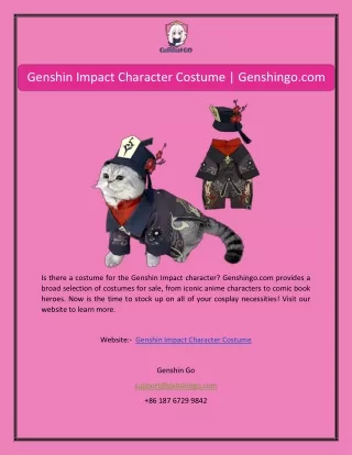 Genshin Impact Character Costume | Genshingo.com
