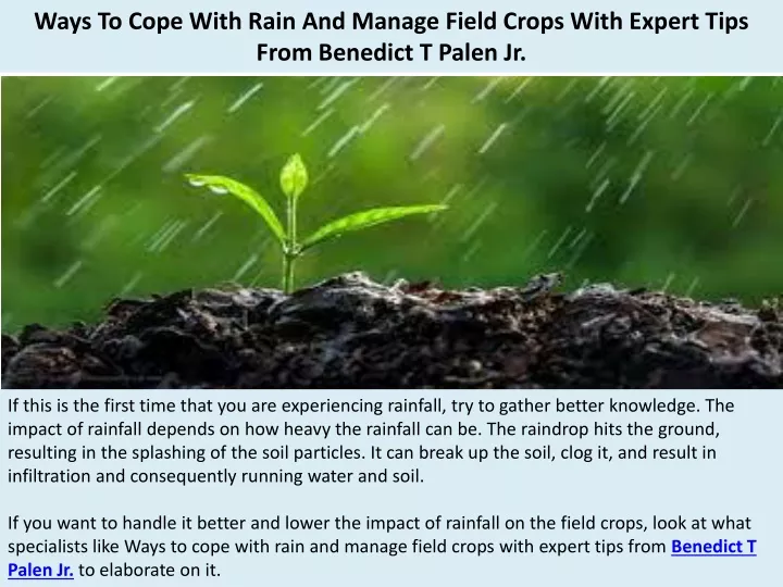 ways to cope with rain and manage field crops with expert tips from benedict t palen jr