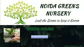 Noida greens nursery provides Cheap Fibre Plant Pots in noida.