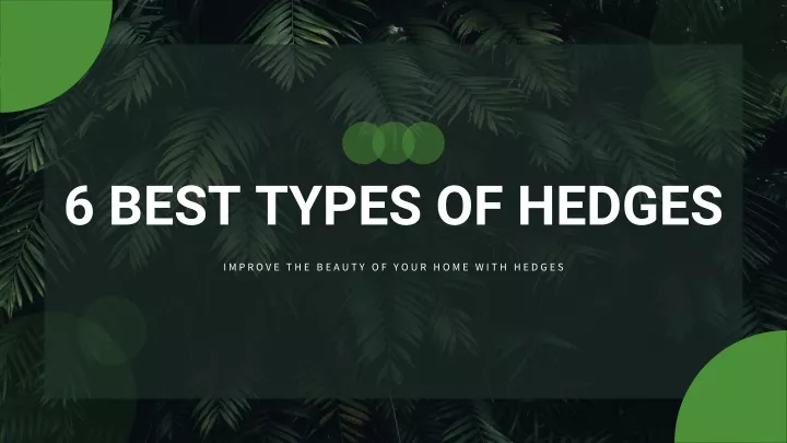 6 best types of hedges