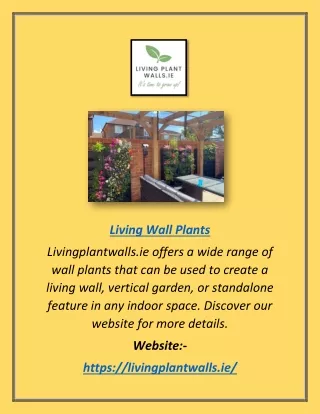 Living Wall Plants | Livingplantwalls.ie