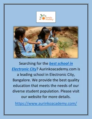 Best School in Electronic City | Aurinkoacademy.com