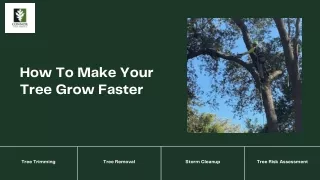 4 Simple Hacks To Make Your Tree Grow Faster