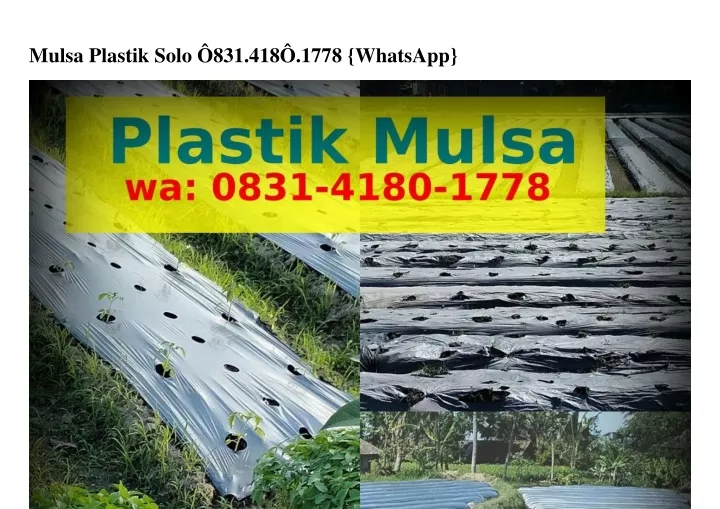 mulsa plastik solo 831 418 1778 whatsapp