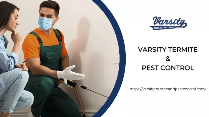 https varsitytermiteandpestcontrol com