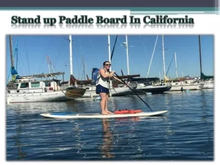 Stand up Paddle Board In California
