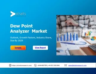 dew point analyzer market