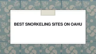 best snorkeling sites on oahu