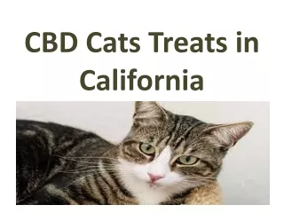 CBD Cats Treats in California