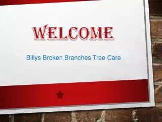 welcome