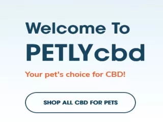 Best CBD for Pets in California