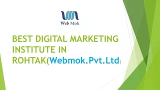 Digital marketing course  in rohtak(ppt)2