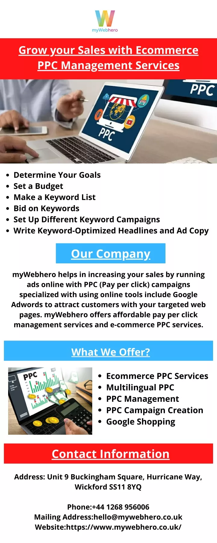 grow your sales with ecommerce ppc management