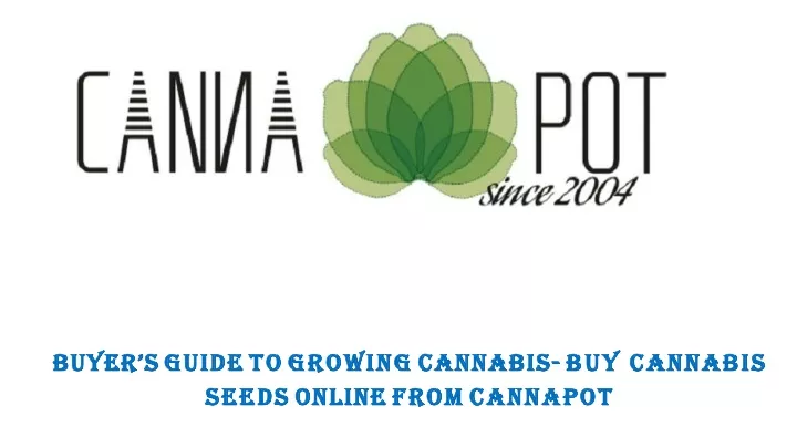 buyer s guide to growing cannabis buy cannabis seeds online from cannapot