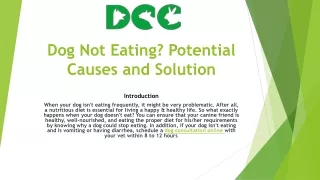Dog Not Eating, DCC Ppt