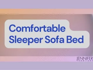 Comfortable Sleeper Sofa Bed