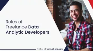 Roles of Freelance Data Analytic Developers