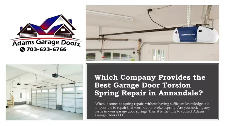 which company provides the best garage door torsion spring repair in annandale